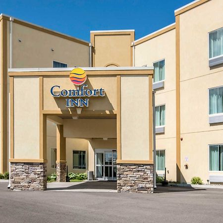 Comfort Inn Apalachin - Binghamton W Route 17 Exterior foto