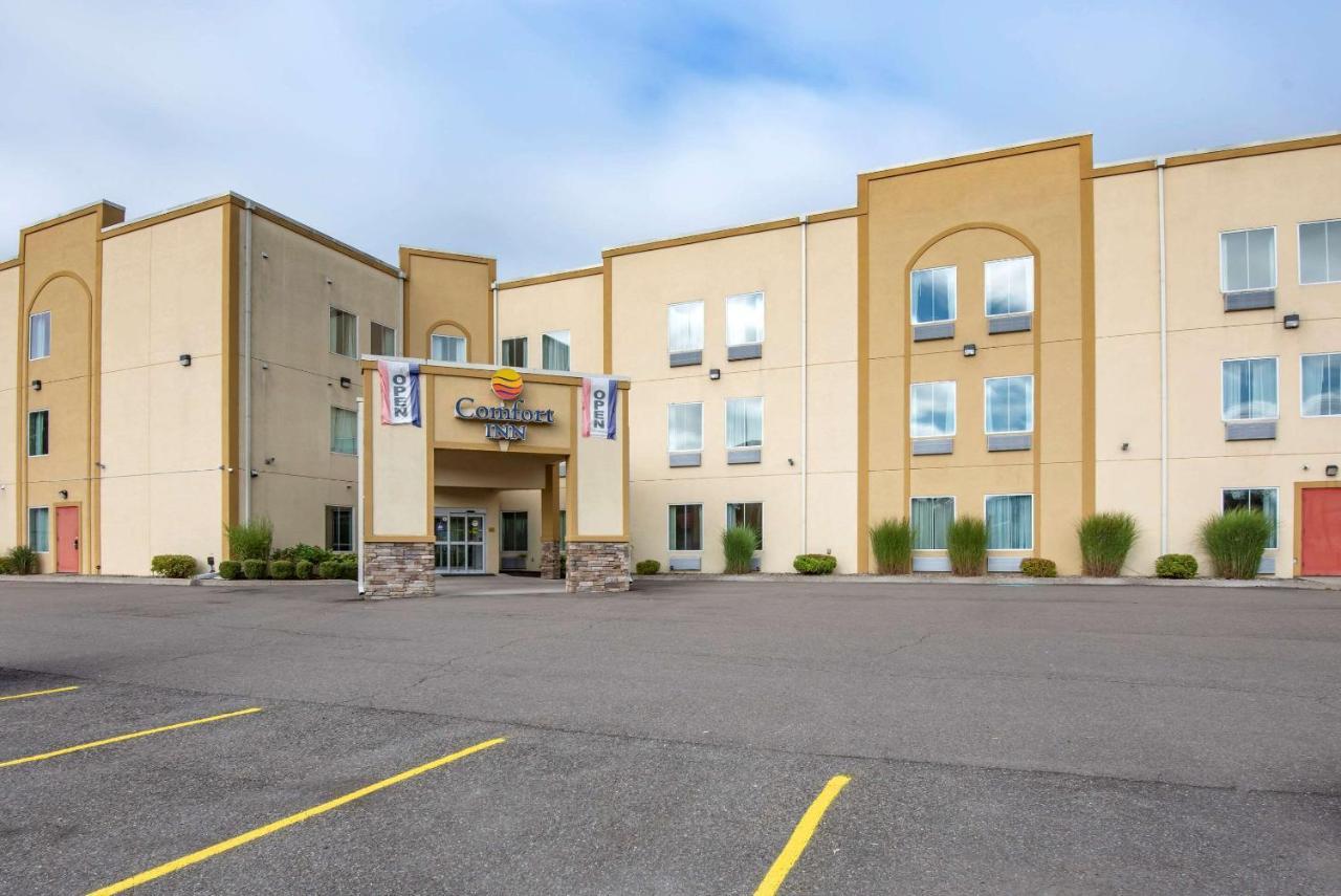 Comfort Inn Apalachin - Binghamton W Route 17 Exterior foto