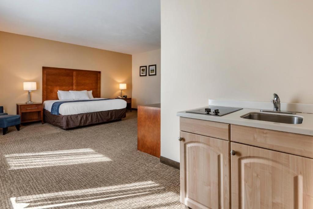 Comfort Inn Apalachin - Binghamton W Route 17 Exterior foto